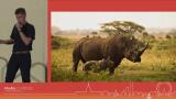 Kamil Zyla | Introducing Rhino: Shiny application framework for enterprise | RStudio (2022)